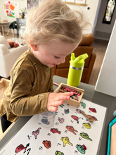 Load image into Gallery viewer, ASL Fingerspelling Alphabet Placemat