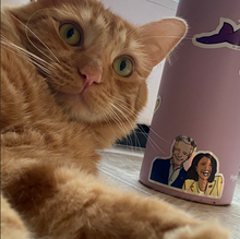 Load image into Gallery viewer, Biden & Harris Holographic Stickers