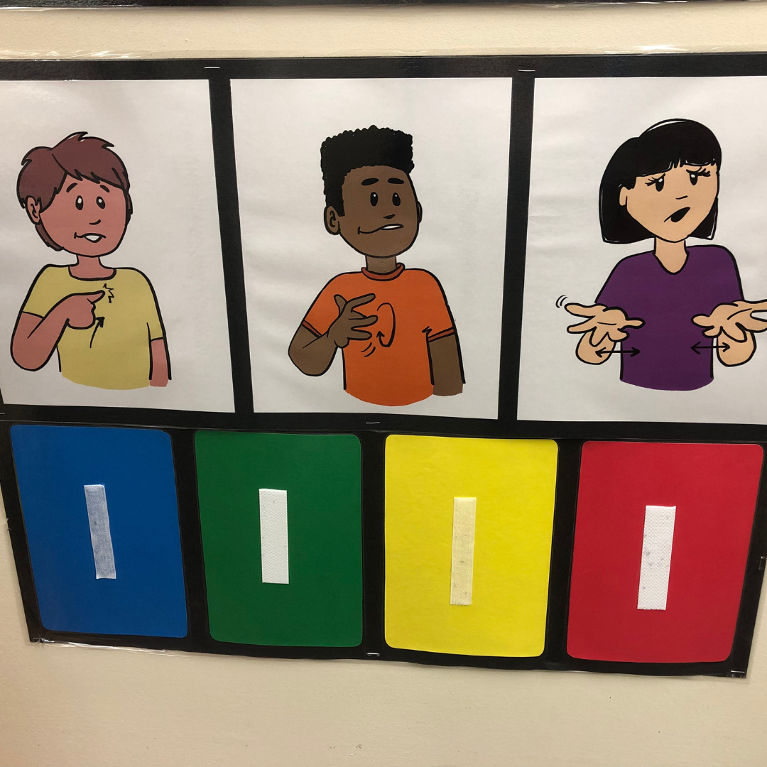 SPECIAL PRICE! Feeling Zones in ASL Package – MOeart
